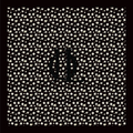 JL8539