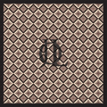 JL9619